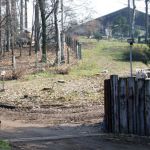 Badi Farm